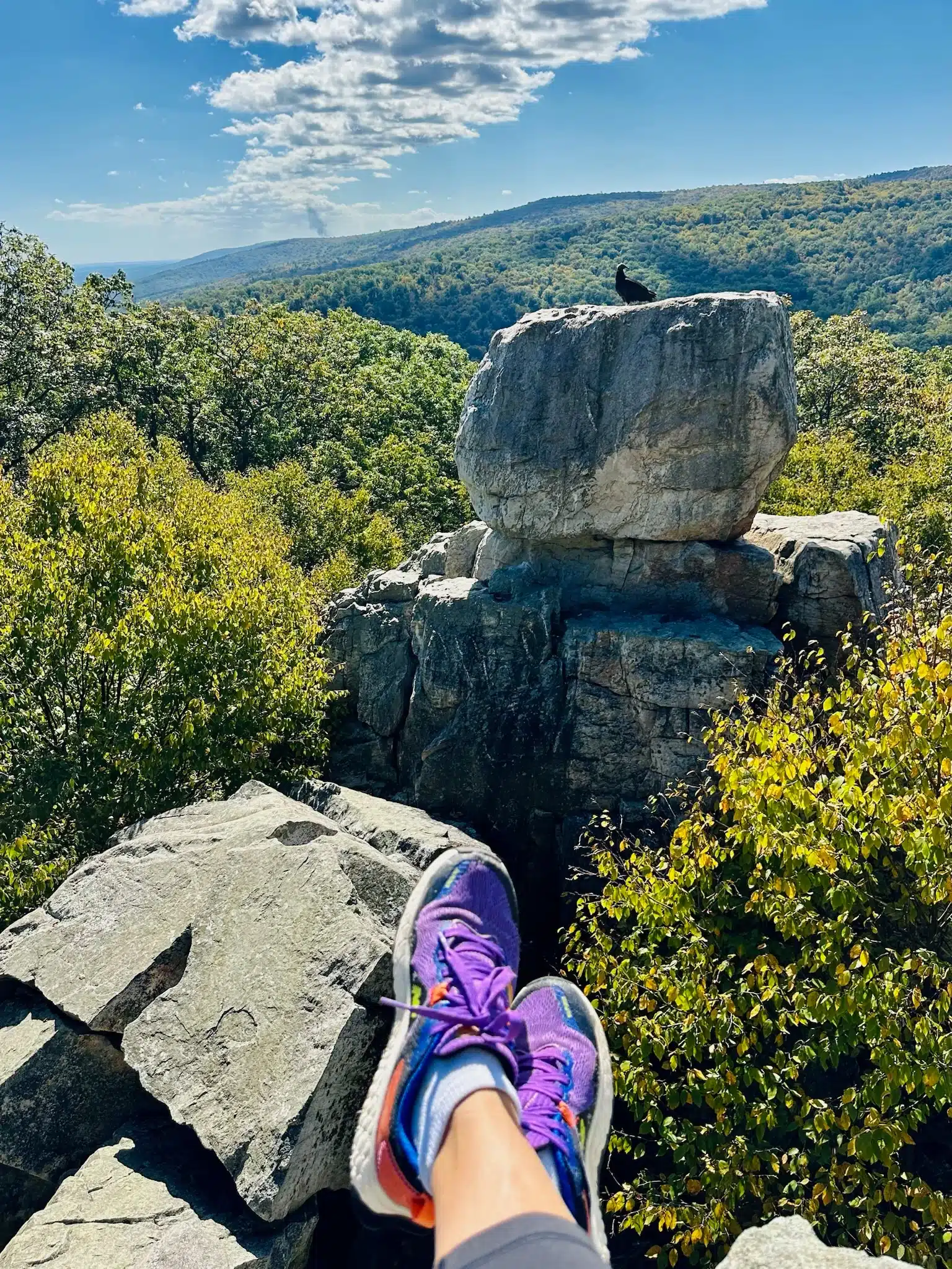 Chimney rock viewpoint a Person with Purple Running Shoes Sits on Rocky Terrain Near an Airbnb in Frederick Md Overlooking a Lush Green Forest and Distant Hills Under a Bright Blue Sky a Black Bird Perches Ahead As Sunlight Casts Shadows on the Rocks and Trees
