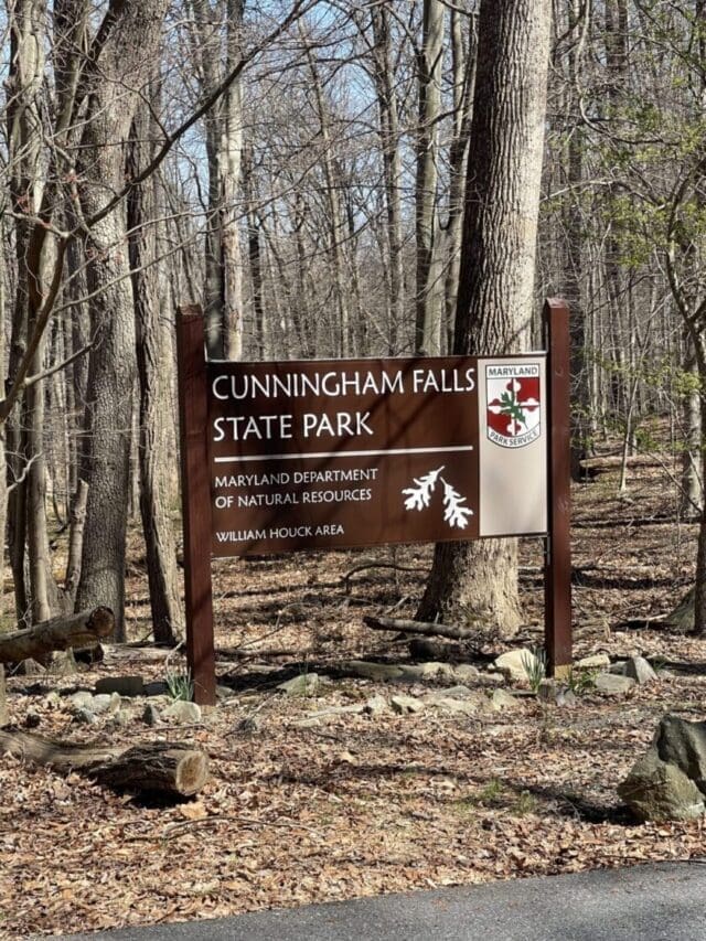 a Large Wooden Sign in a Leafless Forest Marks Cunningham Falls State Park One of the Best Hikes Around Frederick Md the Maryland Parks Logo is on the Top Right Surrounded by Fallen Leaves Rocks and Bare Trees