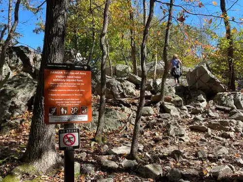 Wolf rock warning sign scaled