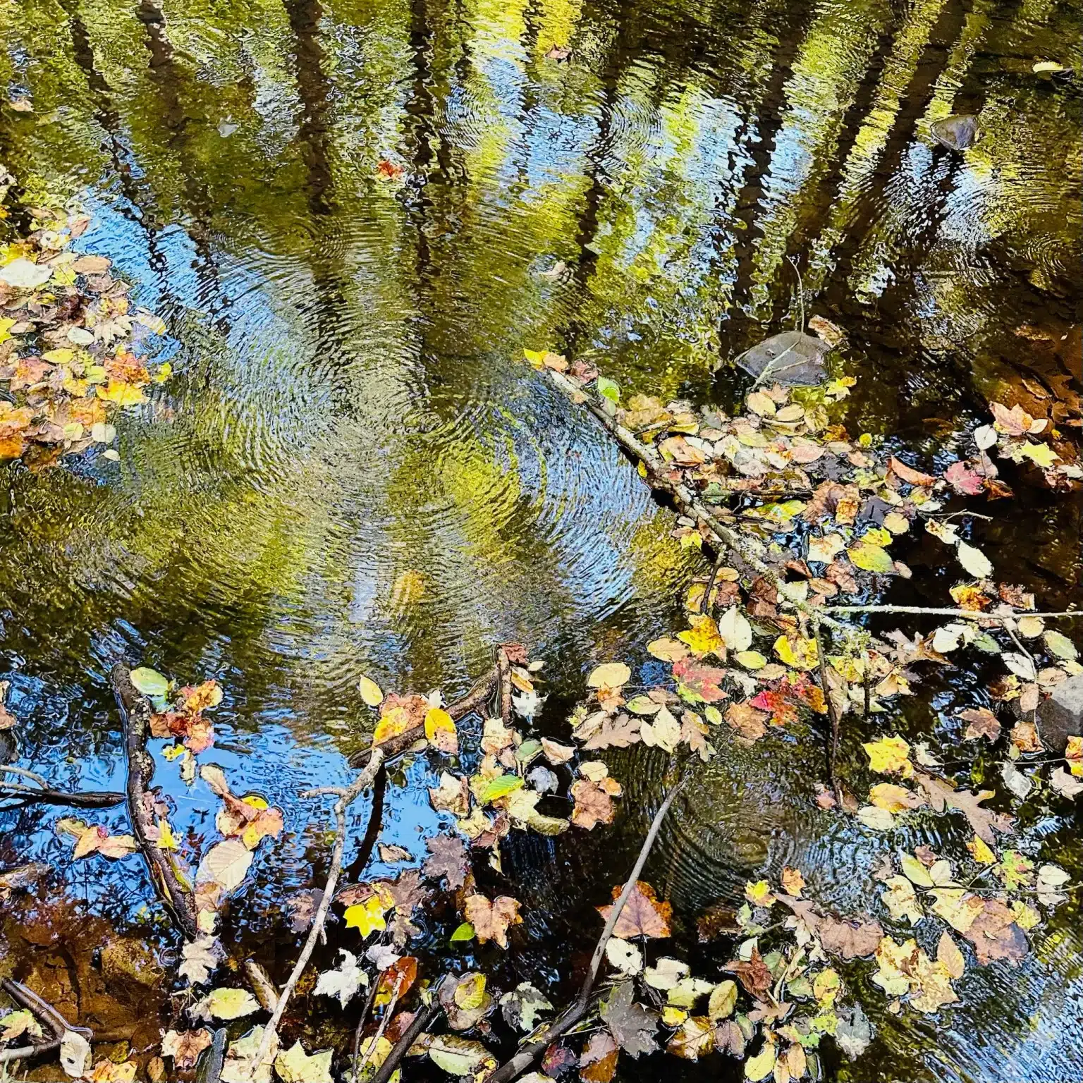 Wolf rock hike water