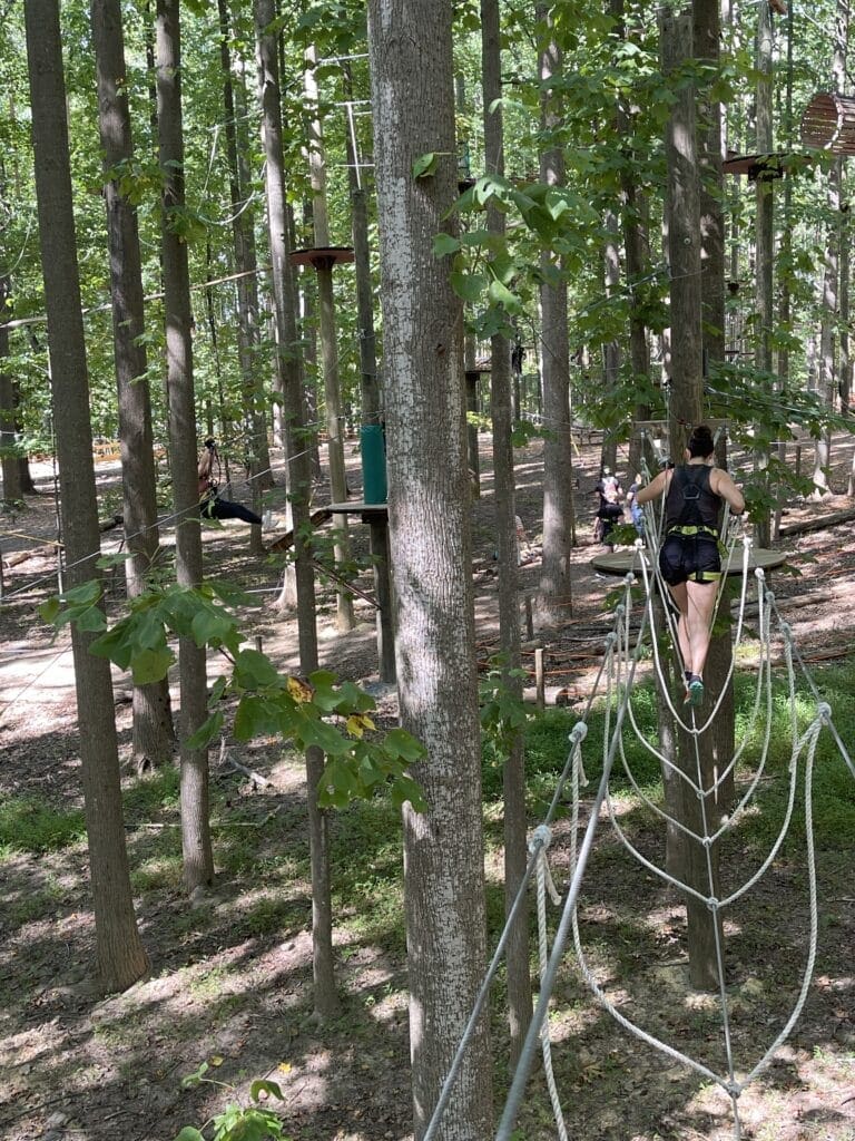 a Person Wearing a Harness Crosses a Rope Bridge Suspended Between Trees at Tree Trekkers Frederick Md Tall Trees Surround the Area with Sunlight Filtering Through the Leaves and Others Enjoying More Treetop Activities in the Background