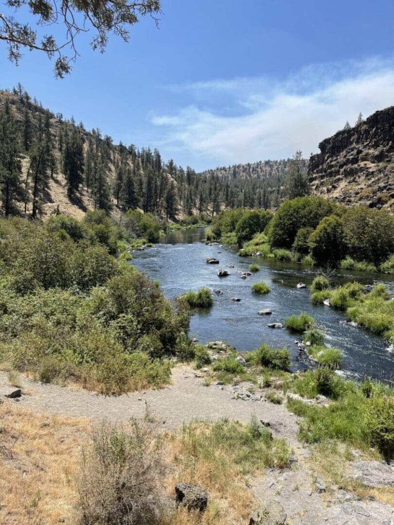 a Clear River Flows Through a Valley Bordered by Tree Covered Hills and Rocky Cliffs Under a Bright Blue Sky Near Steelhead Falls Lush Green Bushes and Grasses Grow Along the Riverbanks with Scattered Rocks Visible in the Water