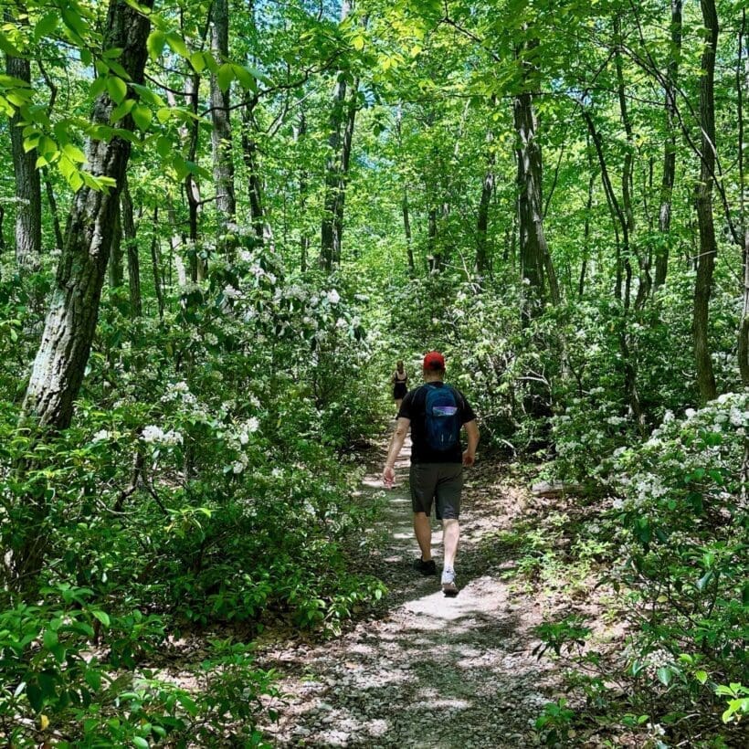 High Rock Lookout Trail Maryland