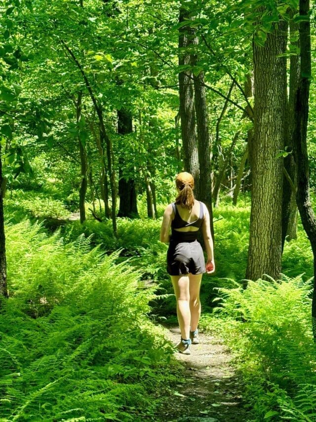 a Woman with a Ponytail Wearing a Black Sports Outfit and Cap Walks Alone on a Narrow Dirt Path Through a Lush Green Forestone of the Best Hikes Around Frederick Mdsurrounded by Ferns and Tall Trees on a Sunny Day