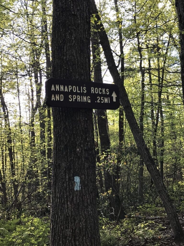 a Wooden Sign Nailed to a Tree in a Forest Reads Annapolis Rocks and Spring 25 Mi with an Arrow Pointing Forward Hinting at One of the Best Hikes Around Frederick Md Sunlight Filters Through Dense Green Foliage in the Background
