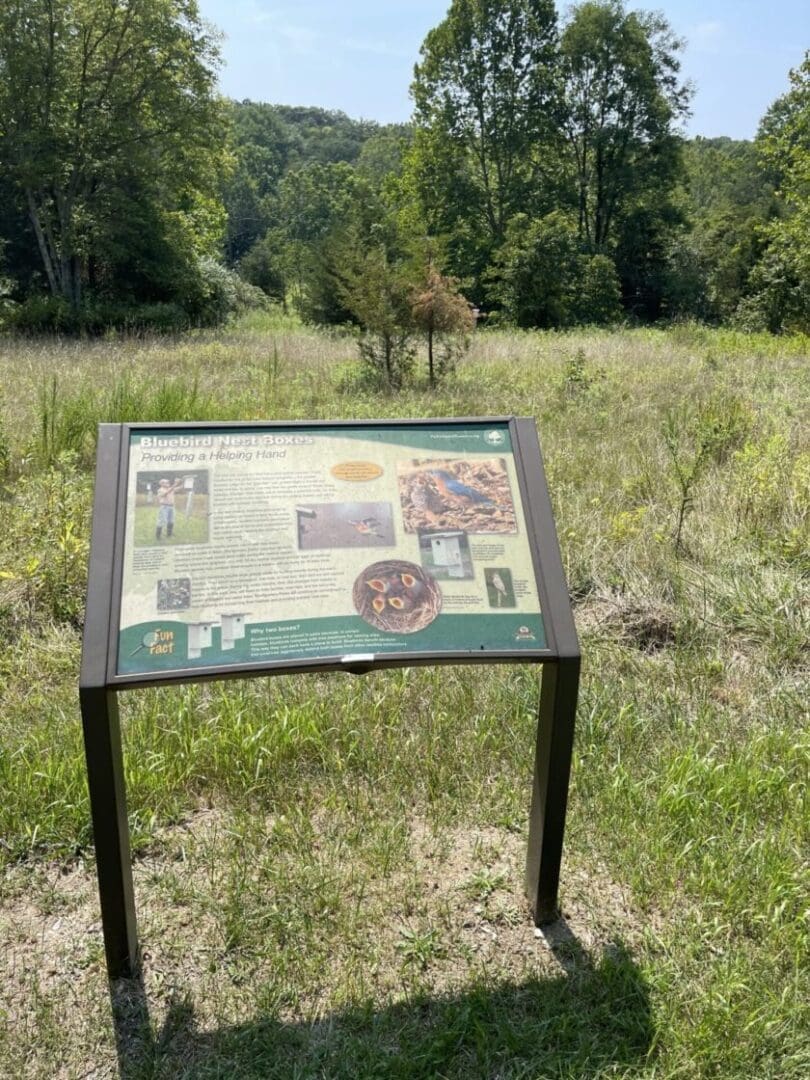 an Informational Sign About Bees Stands Along the Sunny Little Bennett Bike Trails in a Grassy Meadow with Wildflowers and Tall Trees the Sign Features Images Text and Diagrams About Bees Pollinators and Their Habitat with Forested Hills Beyond