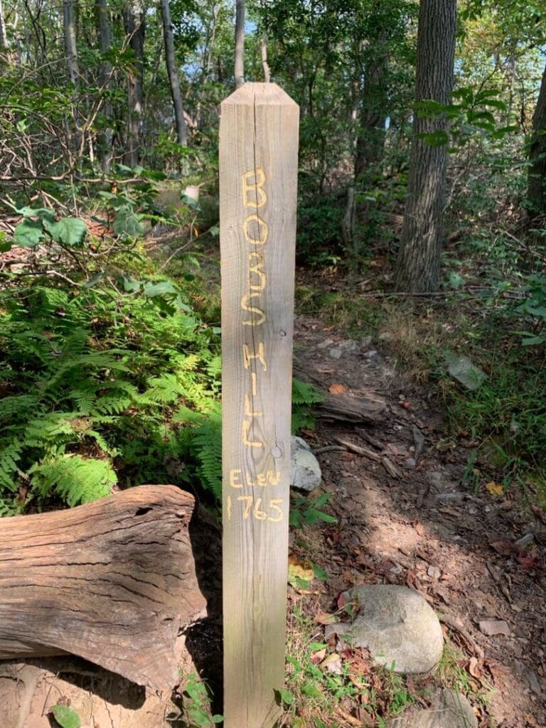 a Wooden Trail Marker Stands in Cunningham Falls State Parks Forested Area with Ferns Rocks and Roots Nearby Engraved with Boss Hill and Elev 765 in Yellow It Basks in Sunlight Filtering Through the Trees Casting Dappled Shadows