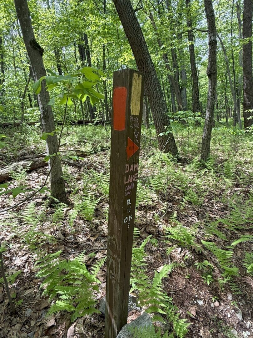 Cat rock misery ridge trail intersection