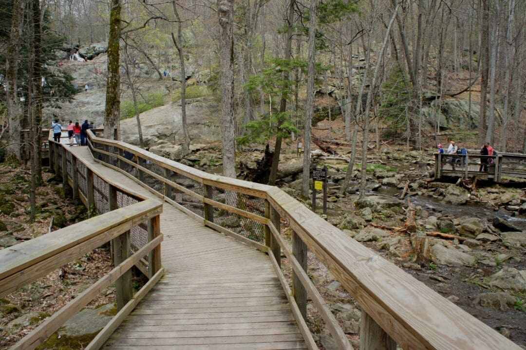 a Wooden Boardwalk with Railings Winds Through Cunningham Falls State Parks Forest of Bare Trees and Rocks People Gather at Lookout Points Observing a Rocky Stream and Small Waterfalls Amid Early Spring Foliage in This Calm Natural Setting