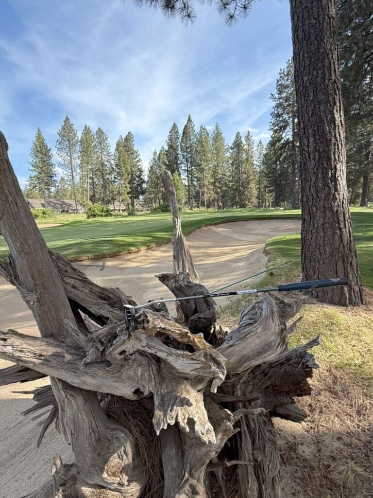 a Black Golf Club Rests on a Large Weathered Tree Stump Beside a Sand Bunker on a Golf Course in the Background Lush Green Grass Tall Pine Trees and a Blue Sky with Wispy Clouds Complete the Scenic Outdoor Setting