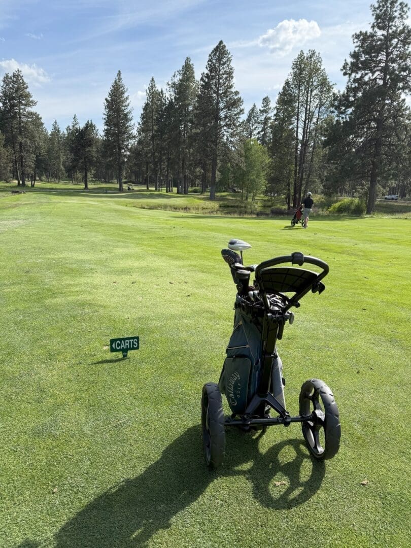 a Golf Push Cart with a Bag Stands on Green Grass Near a Small Sign Reading Carts with an Arrow Tall Pine Trees Border the Golf Course and a Golfer with a Pull Cart is Seen in the Distance Under a Blue Partly Cloudy Sky