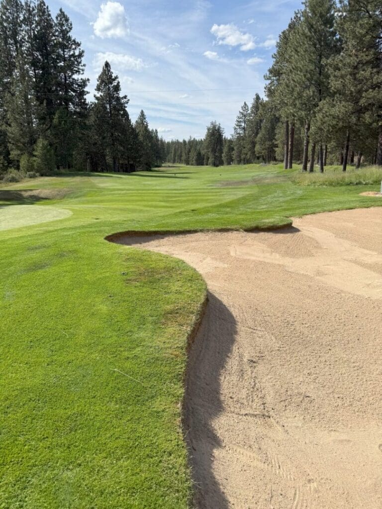 a Sand Bunker Borders a Neatly Mowed Golf Fairway Surrounded by Tall Pine Trees Under a Partly Cloudy Blue Sky the Green Grass Contrasts with the Sandy Bunker in the Foreground and the Scene is Calm and Peaceful