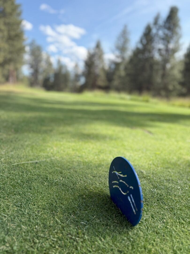 a Blue Disc with a White Abstract Design Stands Upright on a Grassy Area Likely a Golf Course or Park Tall Pine Trees and a Blue Sky with Scattered Clouds Are in the Blurred Background Creating a Serene Outdoor Scene