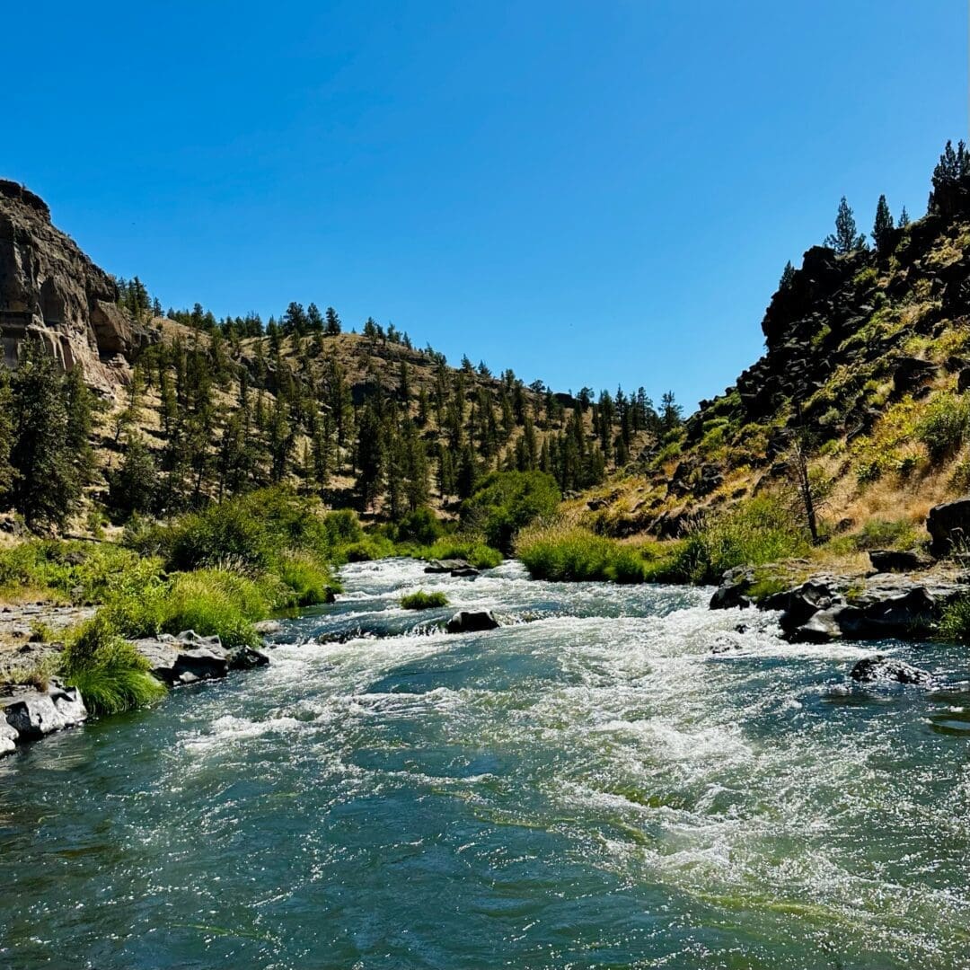 a Clear River Flows Swiftly Through a Rocky Landscape Lined with Green Grasses and Bushes Near Steelhead Falls Steep Hill Slopes Dotted with Pine Trees Rise on Both Sides Under a Bright Blue Sky on a Sunny Day