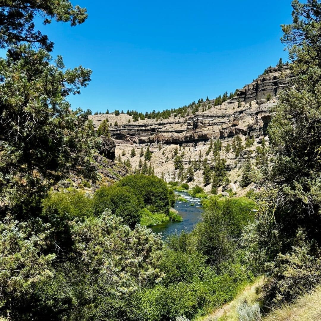a Clear River Winds Through Lush Green Trees in a Valley Framed by Rocky Layered Cliffs Near Steelhead Falls Evergreen Trees Line the Slopes Beneath a Bright Blue Cloudless Sky Creating a Vibrant and Sunlit Landscape