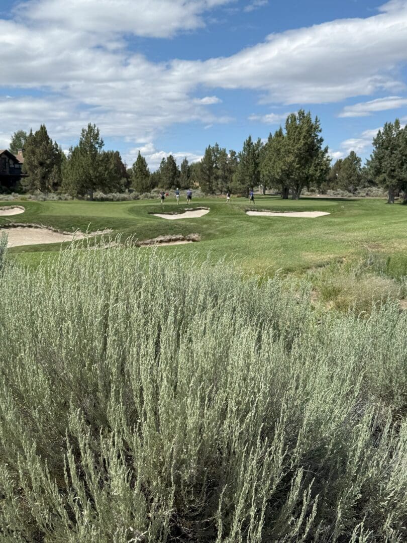 Dense Sagebrush Fills the Foreground of Pronghorn Golf Course with Green Fairways Sand Bunkers and Clusters of Trees in the Background Several Golfers Can Be Seen in the Distance Under a Partly Cloudy Blue Sky